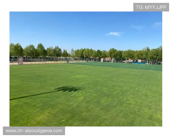 球队更换训练基地环境获赞训练质量提升