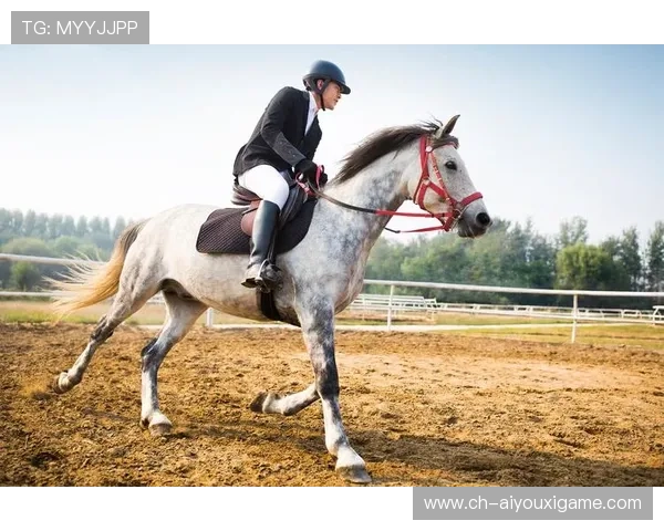 顶级马术赛跑中马匹状况成舆论焦点，动物福利话题被提上台面